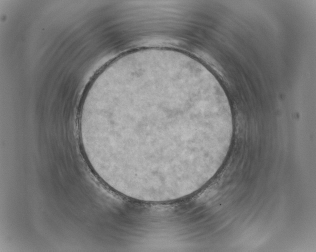 X0000074300848200609151940