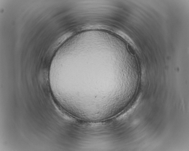 X0000074300849200609151940