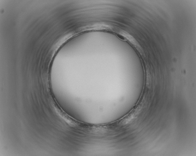 X0000074300850200609151940