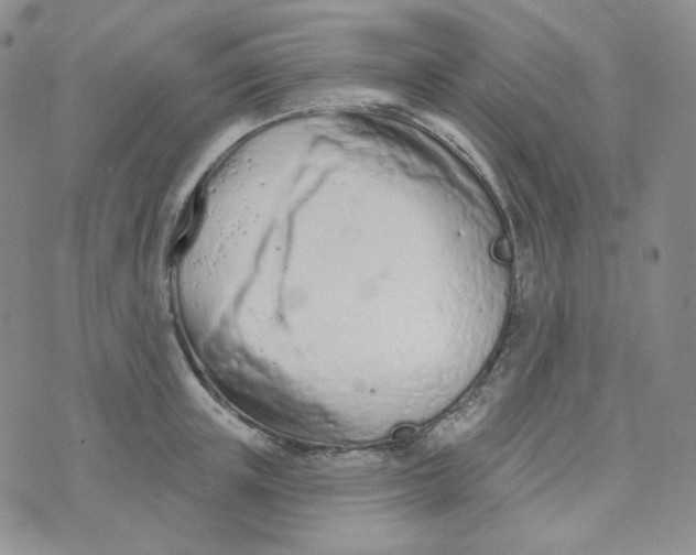 X0000074300851200609151940