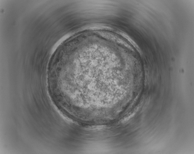 X0000074300853200609151940