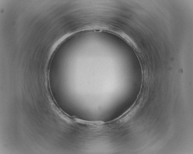 X0000074300854200609151940