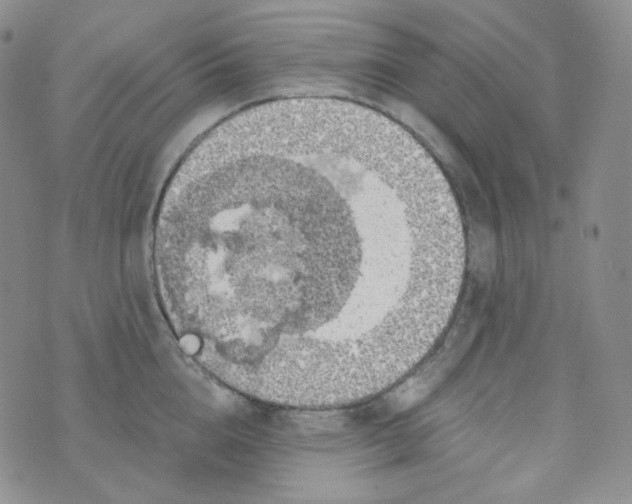 X0000074300856200609151940