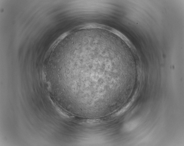 X0000074300857200609151940