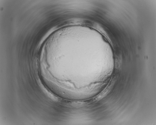 X0000074300859200609151940