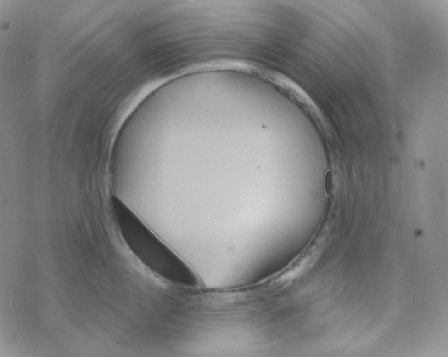 X0000074300860200609151940