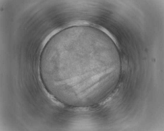 X0000074300861200609151940