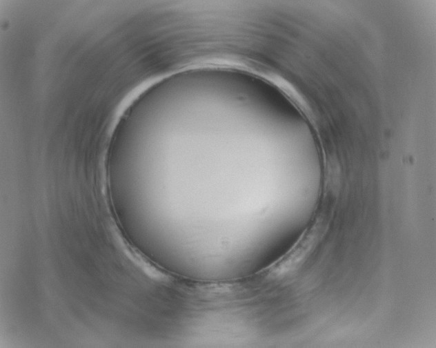 X0000074300862200609151940