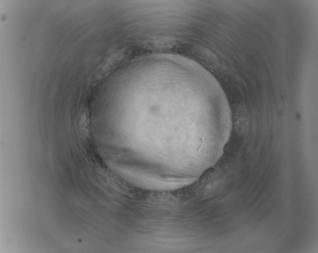 X0000074300866200609151939