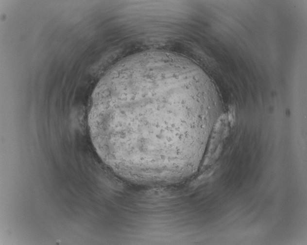 X0000074300867200609151939