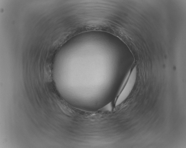 X0000074300868200609151939