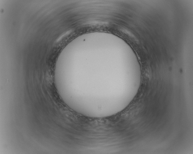 X0000074300869200609151939