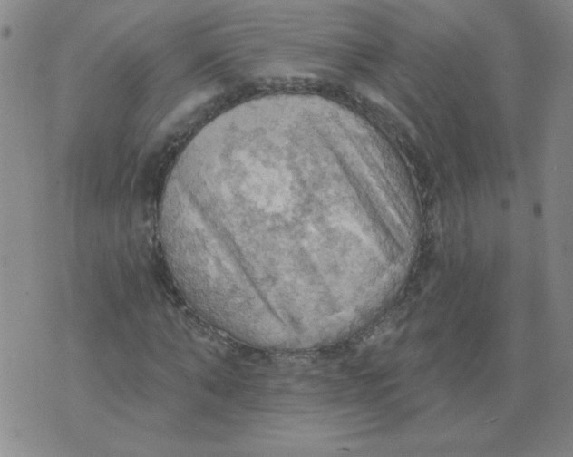 X0000074300870200609151939