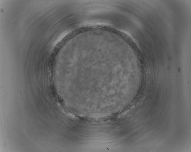 X0000074300871200609151939