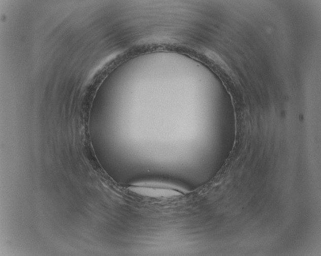 X0000074300872200609151939