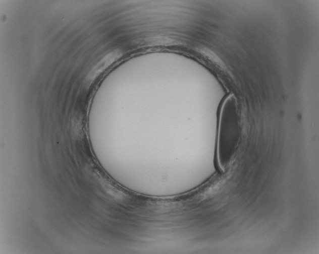 X0000074300873200609151939