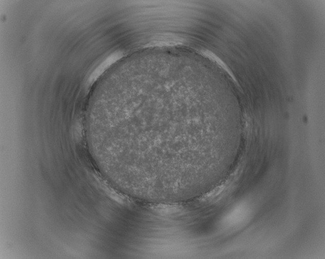 X0000074300874200609151939