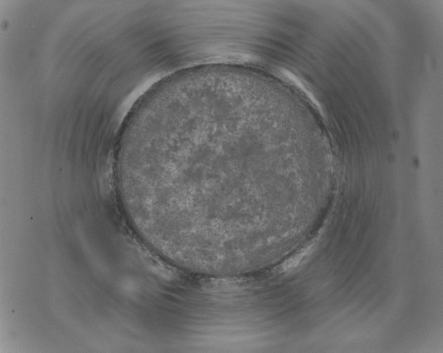 X0000074300875200609151939