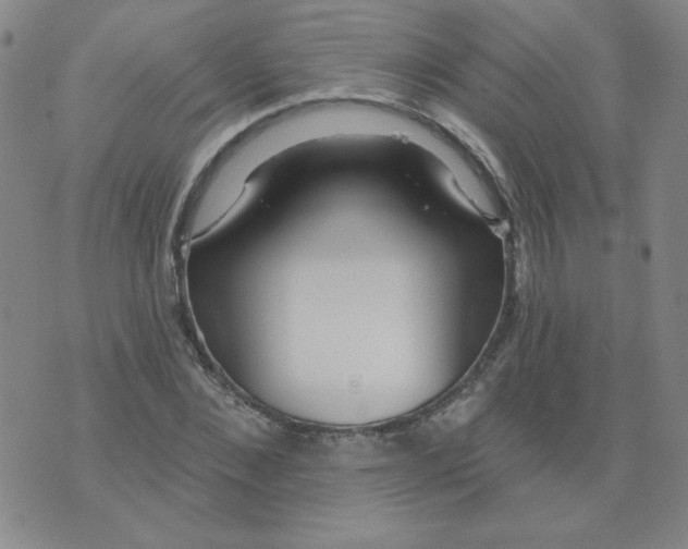 X0000074300876200609151939