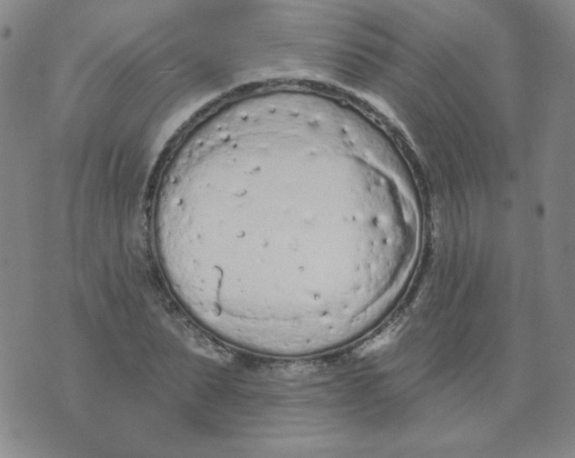 X0000074300879200609151939