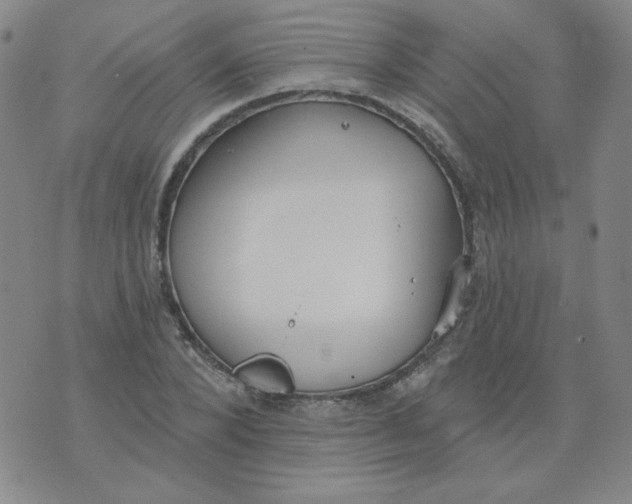 X0000074300880200609151939