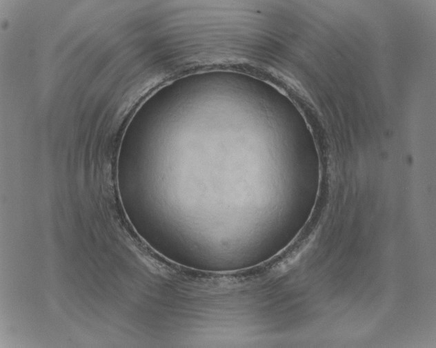 X0000074300881200609151939