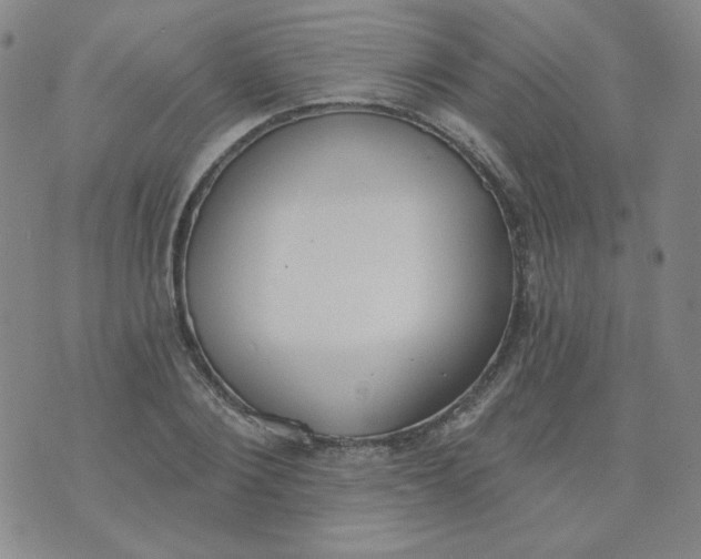 X0000074300884200609151939