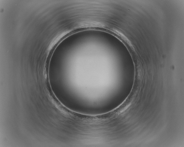 X0000074300885200609151939