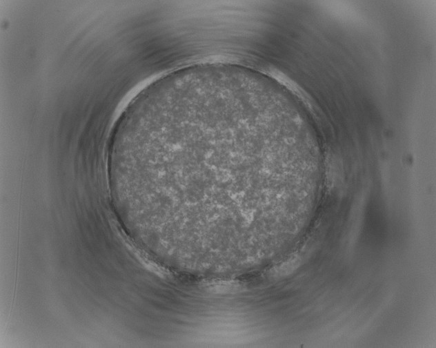 X0000074300886200609151939