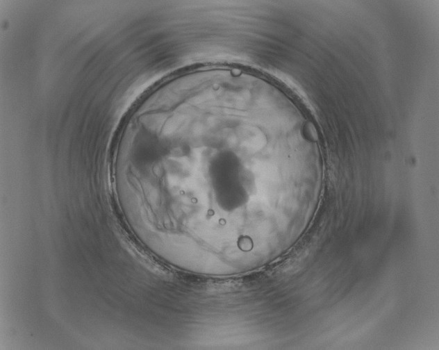 X0000074300887200609151939