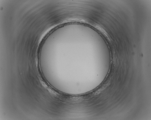 X0000074300888200609151939