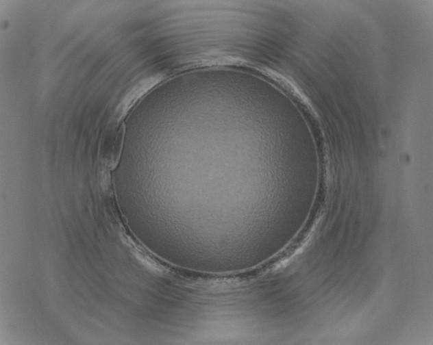 X0000074300889200609151939