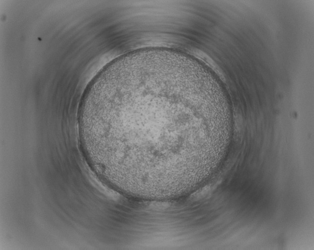 X0000074300890200609151939