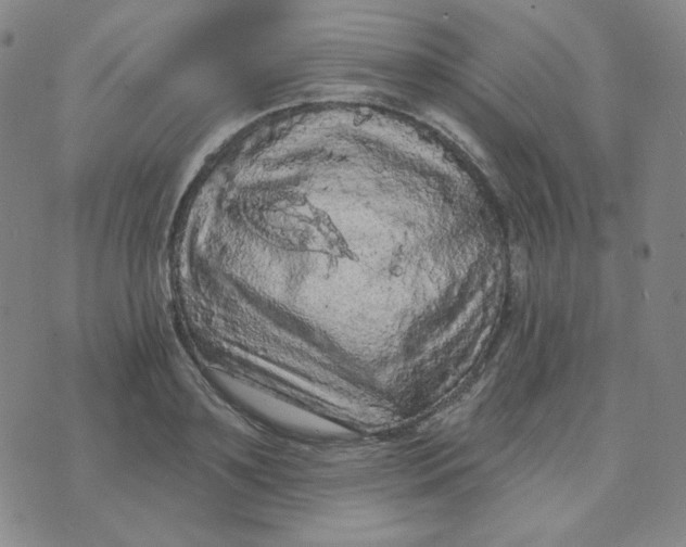 X0000074300891200609151939