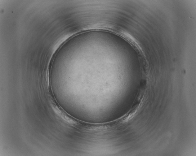 X0000074300892200609151939