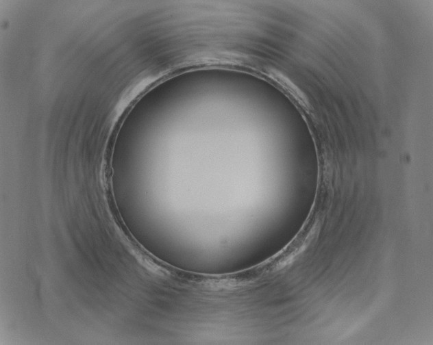 X0000074300893200609151939