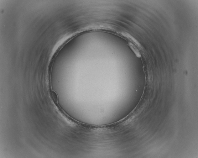 X0000074300894200609151939