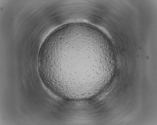 X0000074300895200609151939