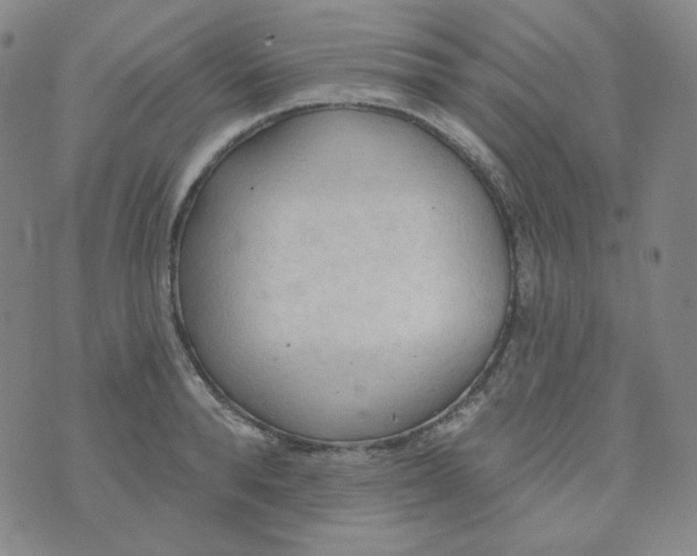 X0000074300896200609151939