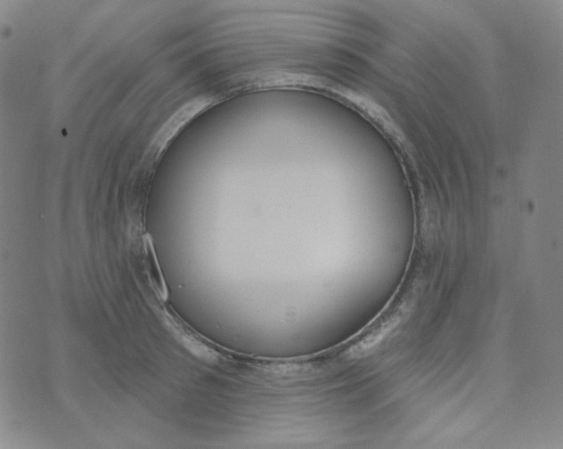 X0000074300897200609151939