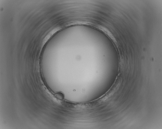 X0000074300898200609151939