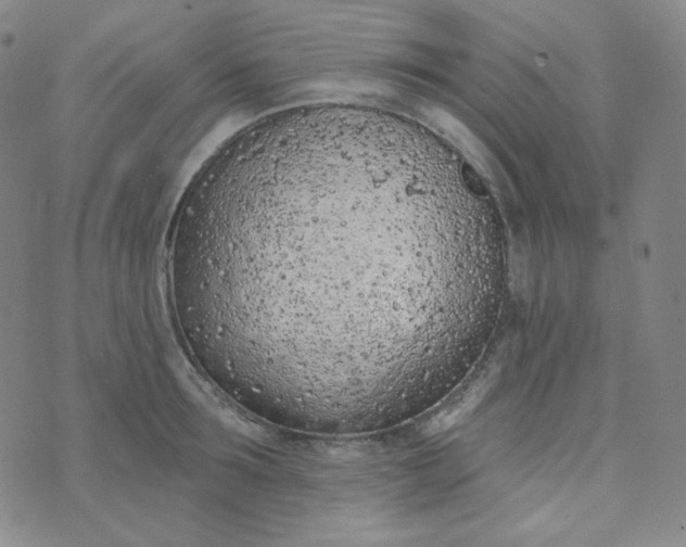 X0000074300899200609151939