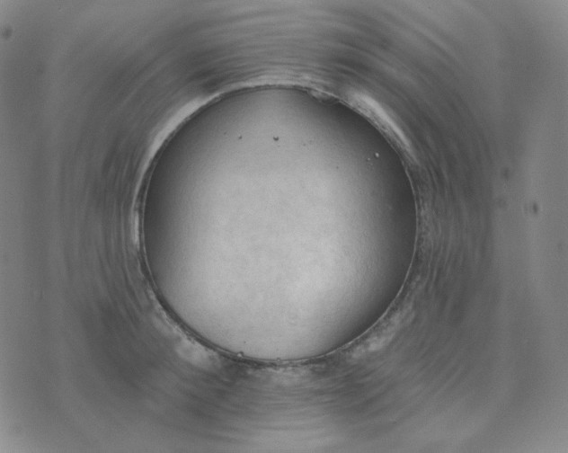 X0000074300900200609151939