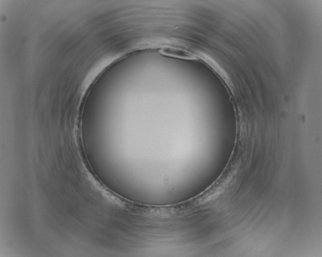 X0000074300901200609151939