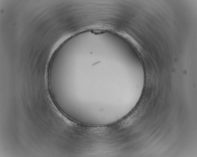 X0000074300902200609151939