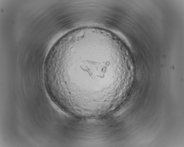 X0000074300903200609151939