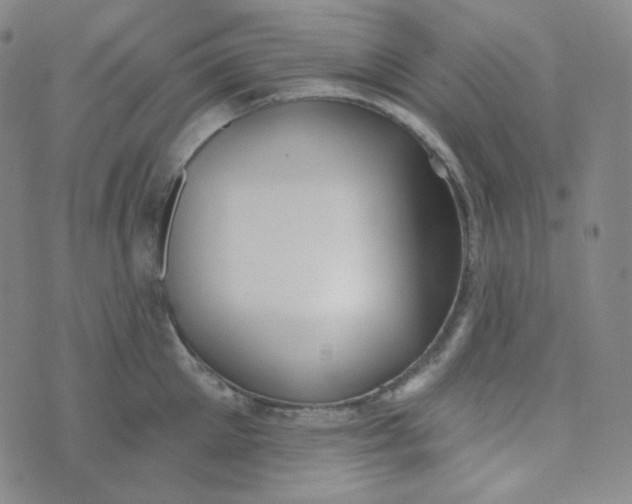 X0000074300905200609151939