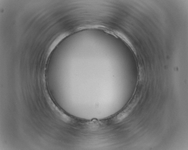 X0000074300906200609151939