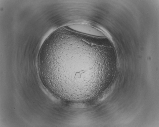 X0000074300907200609151939