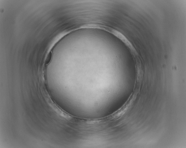 X0000074300908200609151939